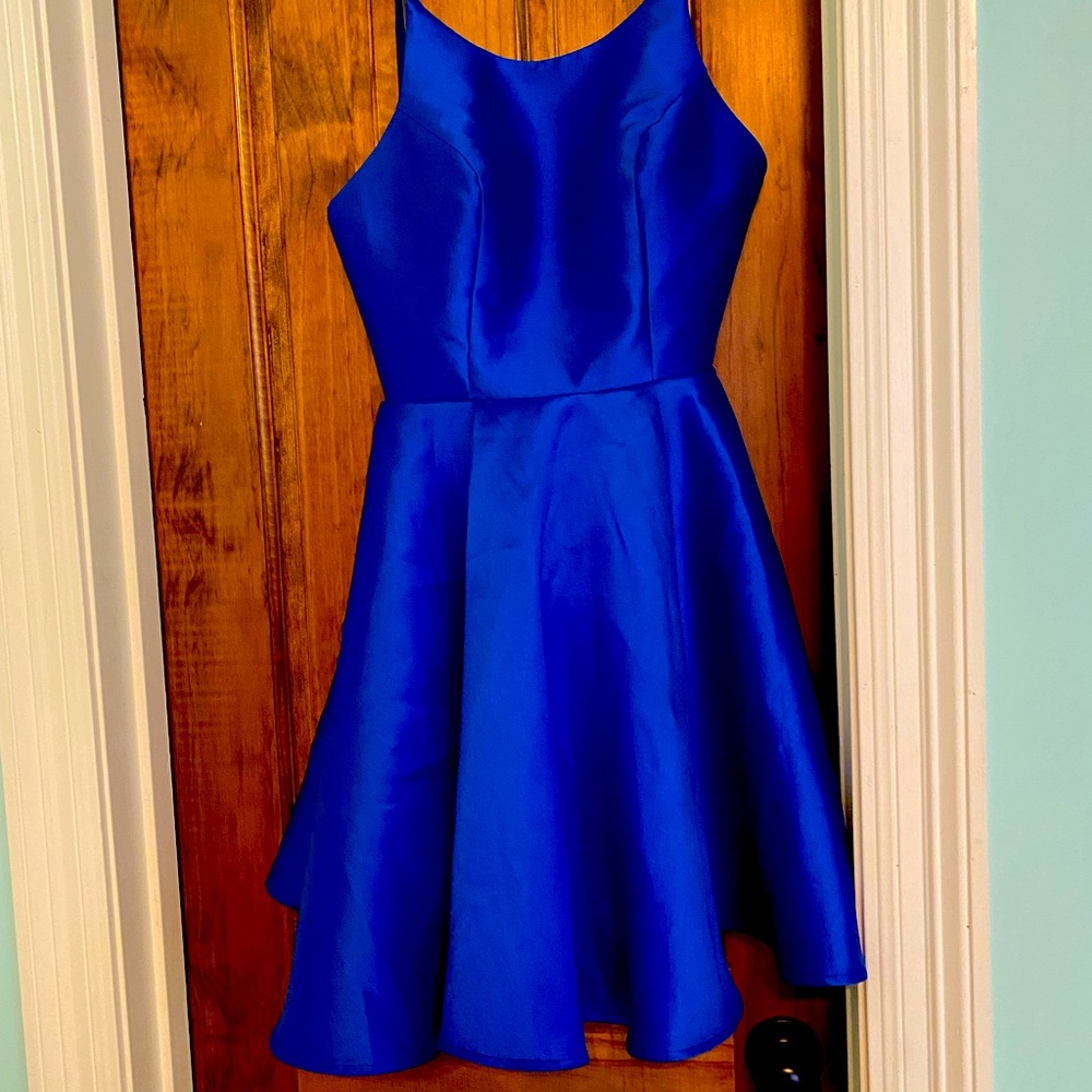 Alyce Paris dress